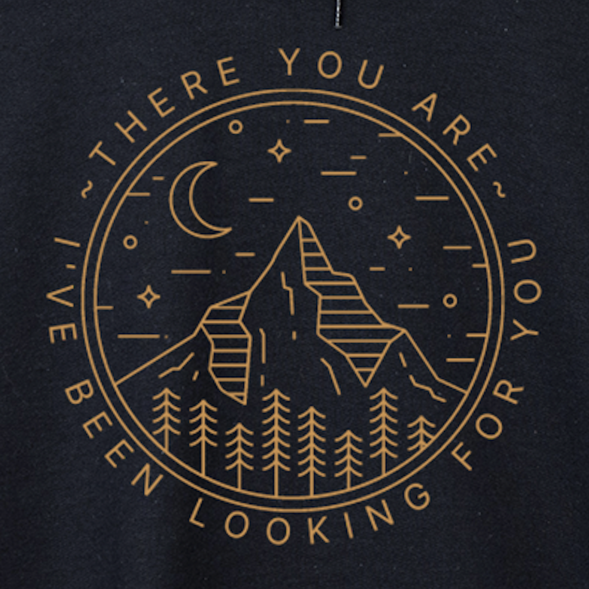 i've been looking for you acotar hoodie