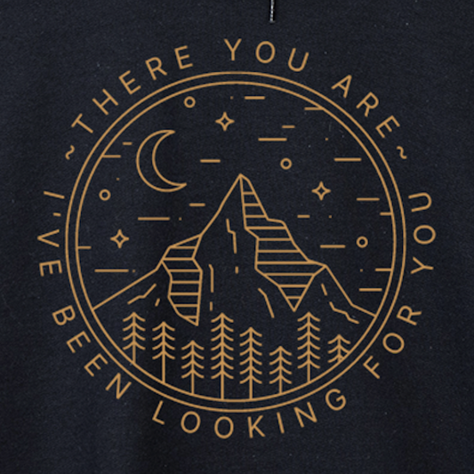 i've been looking for you acotar hoodie
