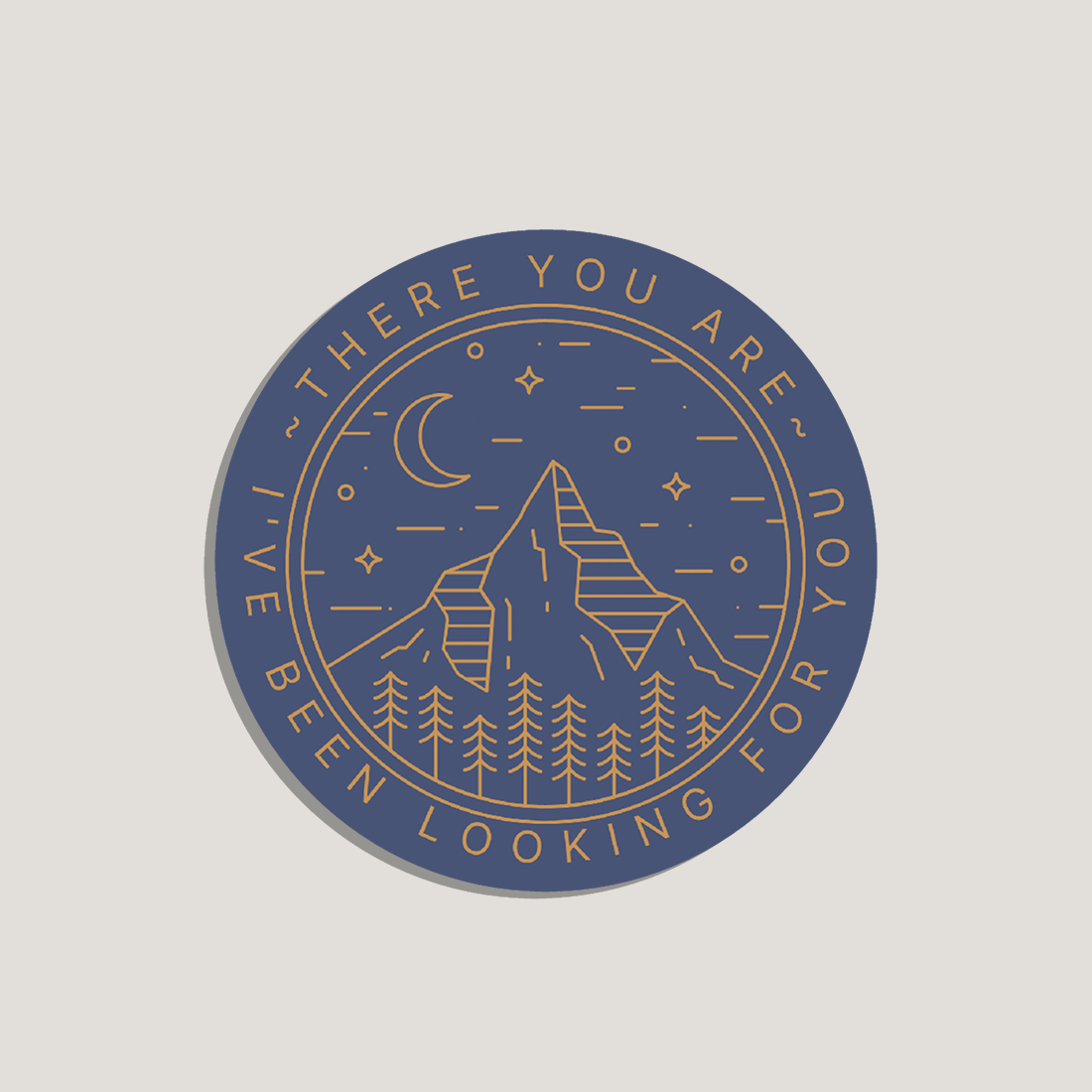 i've been looking for you acotar sticker – probably smut