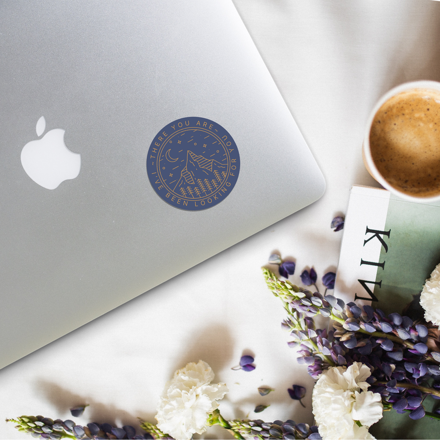 i've been looking for you acotar sticker
