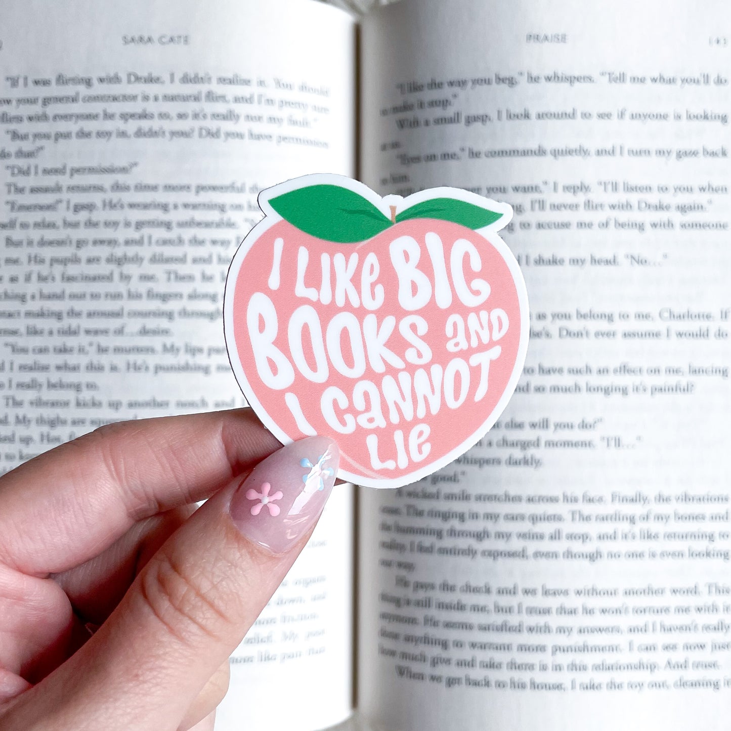 I like big books and I cannot lie sticker