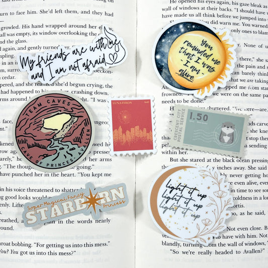 Crescent City series sticker bundle