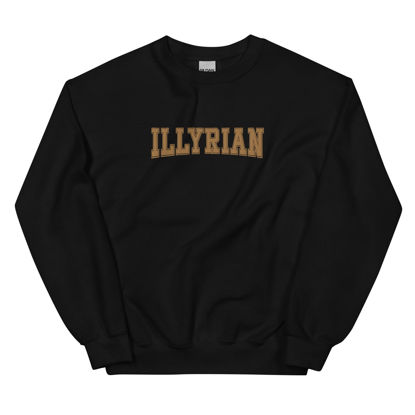 Illyrian varsity embroidered sweatshirt