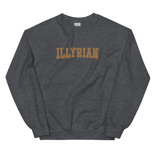 Illyrian varsity embroidered sweatshirt