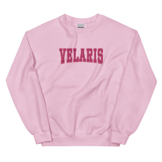 velaris varsity embroidered sweatshirt (pink)