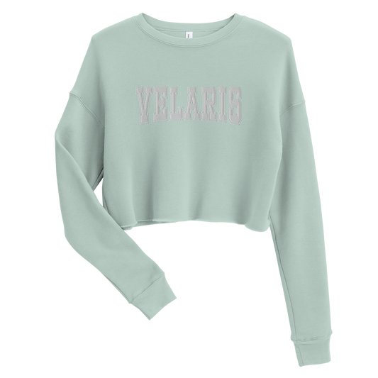 velaris varsity embroidered crop sweatshirt (dusty blue)