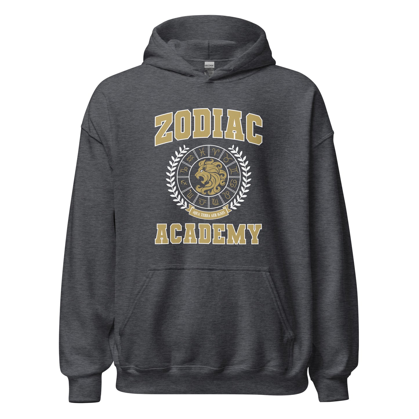 Zodiac Academy hoodie