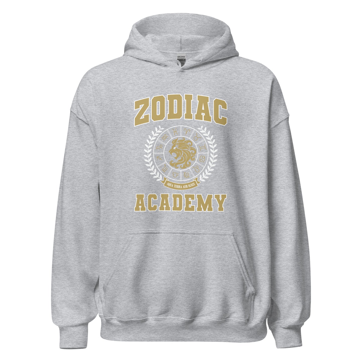 Zodiac Academy hoodie